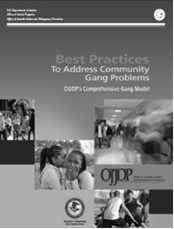 Cover of Best Practices To Address Community Gang Problems