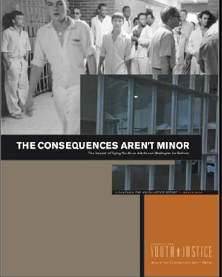 Report Cover - The Consequences Arent Minor