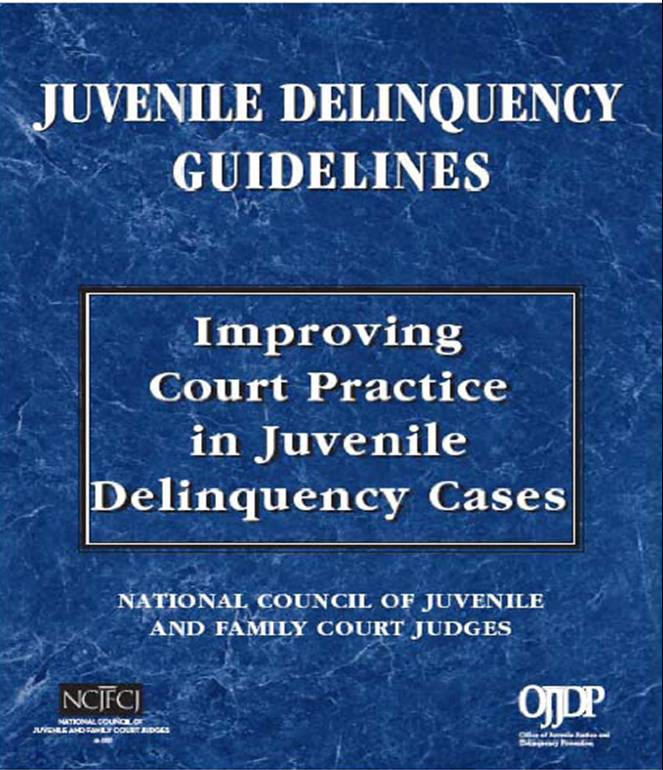 Report Cover - NCJFCJ Delinquency Guidelines